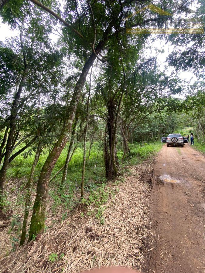 WhatsApp Image 2026-01-29 at 20.11.54 (3).jpeg